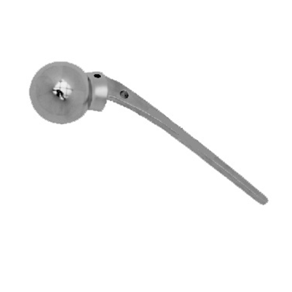 AUSTIN MOORE PROSTHESIS NARROW STEM .